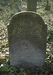 My beautiful picture